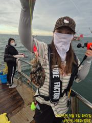 실시간 조황 - 내만갈치) 길치 씨알 꾸준히 잘 올라옵니다 ~실시간 사진