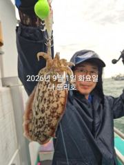 2026년 9월 1일 방가운 쭈꾸미~~올해도 굿굿~~~실시간  군산 1호 쭈꾸미가 낚였습니다~ 갑돌이도 같이 낚이고 있네요~군산 나드리호 사진