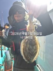 9/1일, 첫 시작~쭈꾸미 밭에 갑돌이도 보이네요~나오고 있어요… 사진