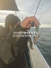 9/1일, 올해도 쭈꾸미낚시 스타트~~누구나 할 수 있는 생활낚…