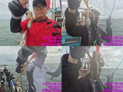 레인보우호 쭈꾸미 실시간 조황(1일)