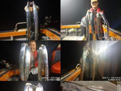 (뉴~패밀리호) 백도권 갈치 조황입니다.
