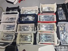 1일새벽,내만칼치 3지급까지 입질퍽퍽 엄청나게 버글버글~목,금욜 예약가능~ 사진