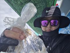 1일 탐사 쭈꾸미 50수 전후로 잡았습니다, 씨알도 좋네요 ~^^