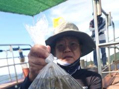 [사천] 쭈꾸미 우당탕탕 조황입니다 내일도 예약중입니다 사진