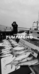 (南)남해조황 - [부산 유강피싱] 유강호 부산권 대부시리 파핑 & 지깅 조황입니다. 사진