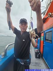 오늘의 조황 - [영동2호] 9월 1일 쭈꾸미 갑오징어 굿~조황 - 영흥도 배낚시 영동2호낚시 사진
