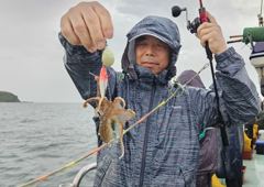 조황정보 - 9/1 돌핀호 주꾸미 첫 조황 - 홍원항 바다낚시 사진