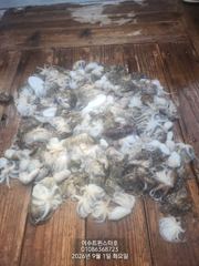 20연타30연타힛트힛트ㆍ내일2일쭈꾸미전투자리가능