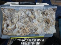 [쭈갑조황] [홍원항타이탄호] 9월1일 (화) 쭈꾸미 금어기 해제 첫날 신고식!!! 사진