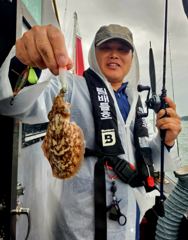 오늘의조황 - 9월1일 팀배틀호 쭈꾸미 조황! 내일은 더 파이팅! - 전투낚시,선상낚시 출조전문