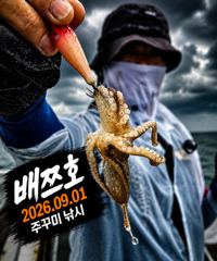오늘의조황 - [배쯔호] 9월1일 주꾸미낚시 - 마검포 팀바이트호,선상낚시 전문 사진