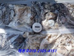 26년9월2일조황