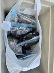 9월1일 영목항 조황입니다 사진