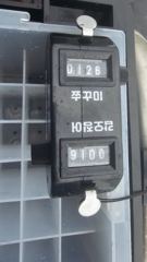 9월1일 마검포 대한호 주꾸미 조황 사진