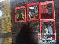 9월01일 무늬오징어 팁런조과입니다 사진