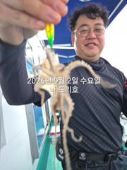 9/2일,올해도 재미있는 쭈꾸미낚시~남녀노소 누구나 할 수 있는… 사진
