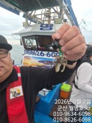 9/2일,  재미있고 맛있는 쭈꾸미낚시~오늘 잘 나오고 있어요~… 사진