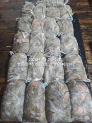 [군산] 9월1일 초대박 조황 17명조사님들 ..장원33수 군산 홈런호 … 사진