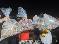 문어] 오늘 야간문어 예약가능~ 1.2k, 1.3k 손맛굿~ 고고!! 사진