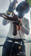 돌문어 실시간 팍팍 ~내일 출조확정 예약중
