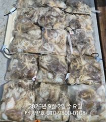 ★★ 9/2 [군산 대일피싱]    태평양호   쭈꾸미 조황 !~ 내일  8자리있습니다.  사진
