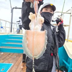 9월 2일 신진도 어해루호 쭈꾸미조황 사진