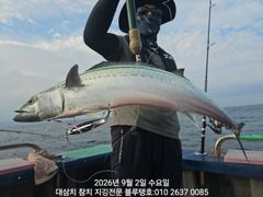 2/수욜ㅡ덩치급 대삼치들, 바이트 좋습니다! 사진