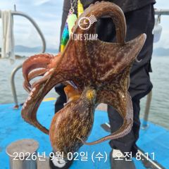 암초 포인트 문어 낚시 사진