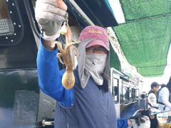 [사천] 쭈꾸미 쭉쭉 올라옵니다  내일도 예약중입니다 사진
