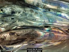 [진해] 먼바다왕갈치외줄16석. 좀잡앗습니다. 씨알굿.11일부터예약가능 사진