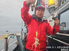오늘의조황 - 9월1일 쭈꾸미낚시^^ - 오천항 성령낚시,성령호 사진