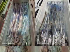 통영 영운호 14석 먼바다 대칼치 대박을 기원 하며 기상 좋아 지기를 기다립니다