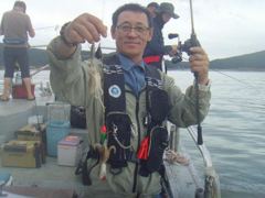 오늘의 조황 - 9월2일쭈구미조황 - 오천항 30년 출조, 대박 선장이 운영하는 서해바다낚시에 오신걸 환영합니다. 사진