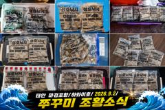 [쭈갑조황] 9.2 하와이호 쭈꾸미 조황소식