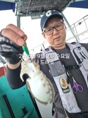 9/2일, 군산 쭈꾸미~재미있는 쭈꾸미낚시~갑돌이는 보너스~내일도 갑니다~군산 나드리호 사진