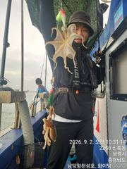 9월 2일 주꾸미 조황입니다 ^^ 사진