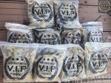 09월 02일 오천항VIP호 쭈꾸미&갑조황 사진