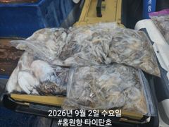 [홍원항타이탄호] 9월2일(수) 쭈꾸미 2일차 자릿수가 다른 오늘