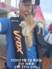 9/3 군산 마루호 실시간 조항 ~☆ 사진