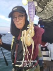 9/3일, 군산 쭈꾸미~쭈꾸미낚시~갑돌이는 보너스~~ 오늘 조황…