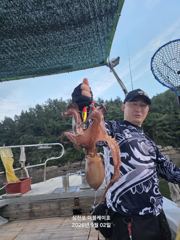 (南)남해조황 - 삼천포 주간,야간 문어! 주간 주꾸미! 매일출조!