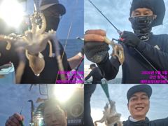 레인보우호 쭈꾸미 종일 실시간 조황(3일)
