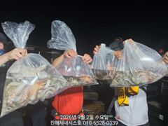 문어] 오늘 야간예약가능~ 3.11k 대물 어깨빠지고~오늘도 고고!!~ 사진