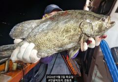 먼바다왕갈치외줄16석 ~조항. 기상으로 내만갈치 금토일 예약가능