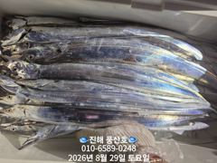 "내만 갈치" 회무침먹고~ 1타1피~피딩타임~(예약가능합니다) 사진