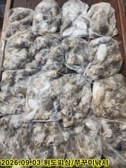 [격포] 3일 위도피싱 쭈꾸미조황입니다. 사진