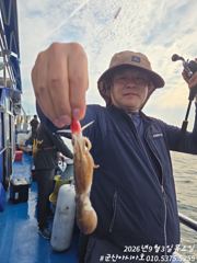 [군산아시아호] 주꾸미 실시간 9/3 사진