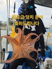 삼천포 마린보이 9. 3. 목요일 주간문어 대박조황으로 다녀왔습니다.