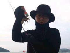 삼천포 쭈꾸미 세자리수조황 팍팍